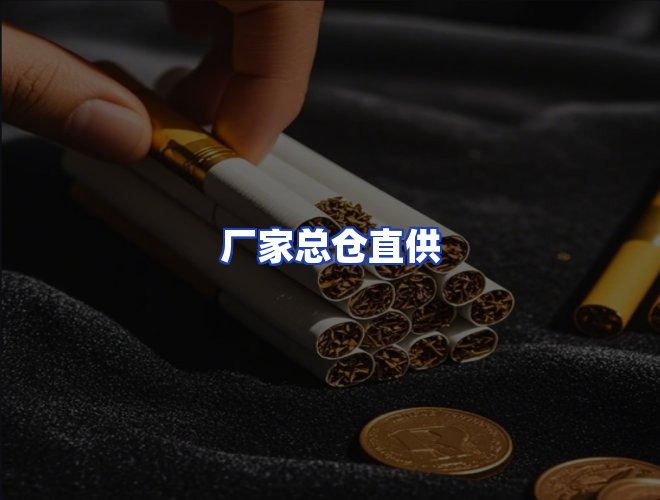 专业团队